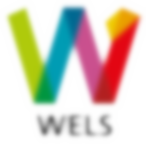 Logo der Stadt Wels